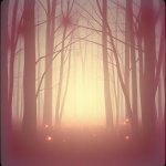 15. Radio Ballad – Waltz of Hearts (Cover)