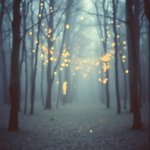 15. Radio Ballad – Waltz of Hearts (Cover)