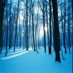 7. Something Unknown